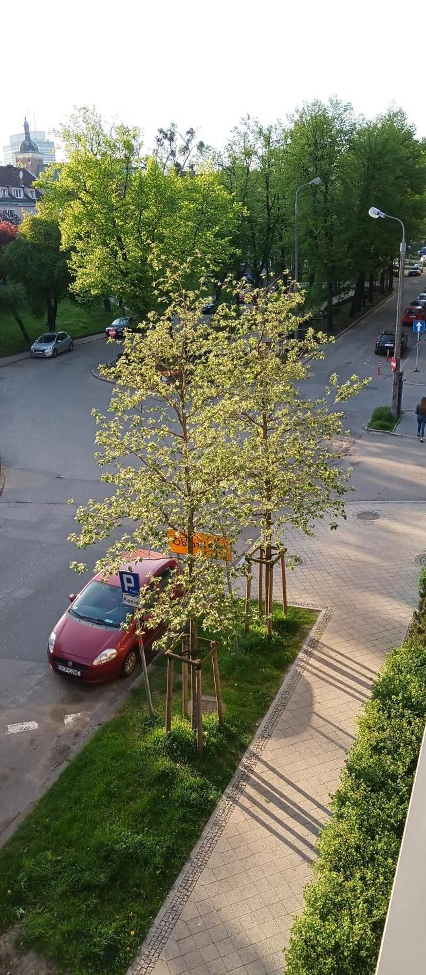 Planet Gdansk Apartments Mercure Old Nova 外观 照片
